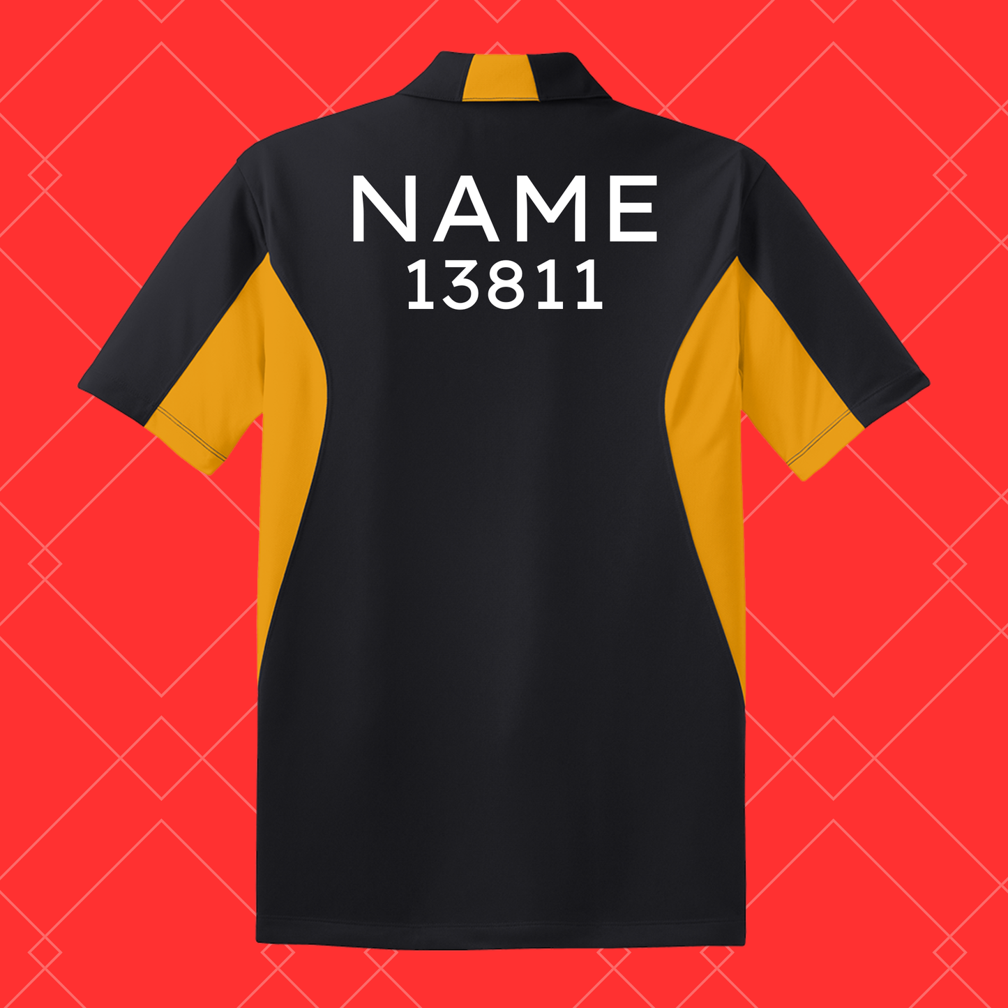 2025 Robotics Team #13811 Polo