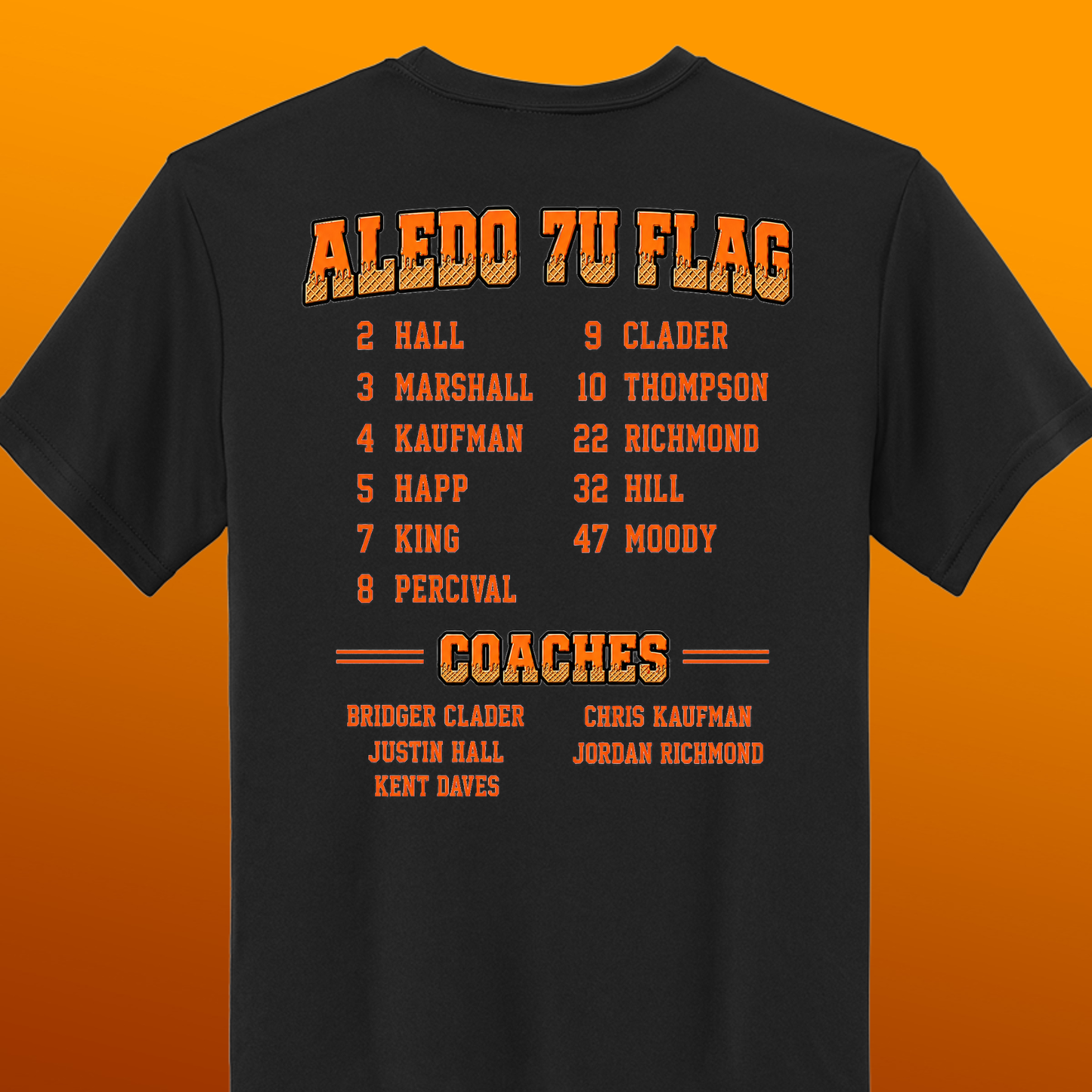 Aledo 7U Flag Football Performance Youth Tee