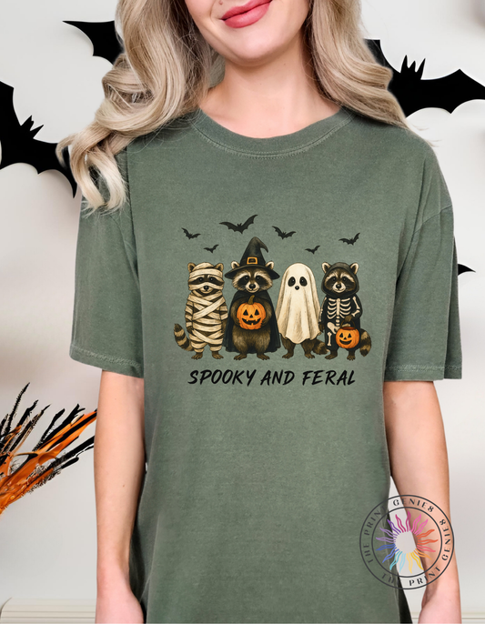 Spooky & Feral Racoons