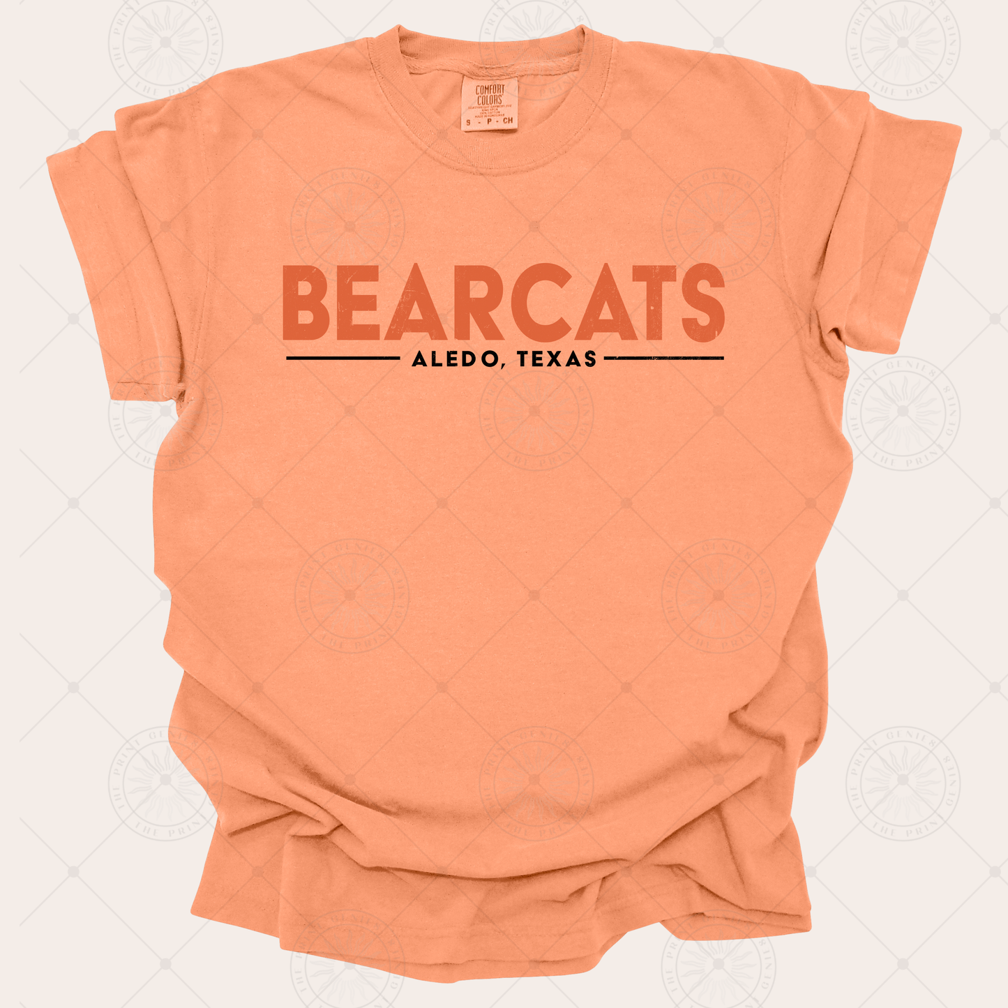 Bearcats Vintage Spirit Tee | Aledo TX Distressed Comfort Colors Shirt