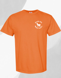 Aledo HS Math Team Shirt