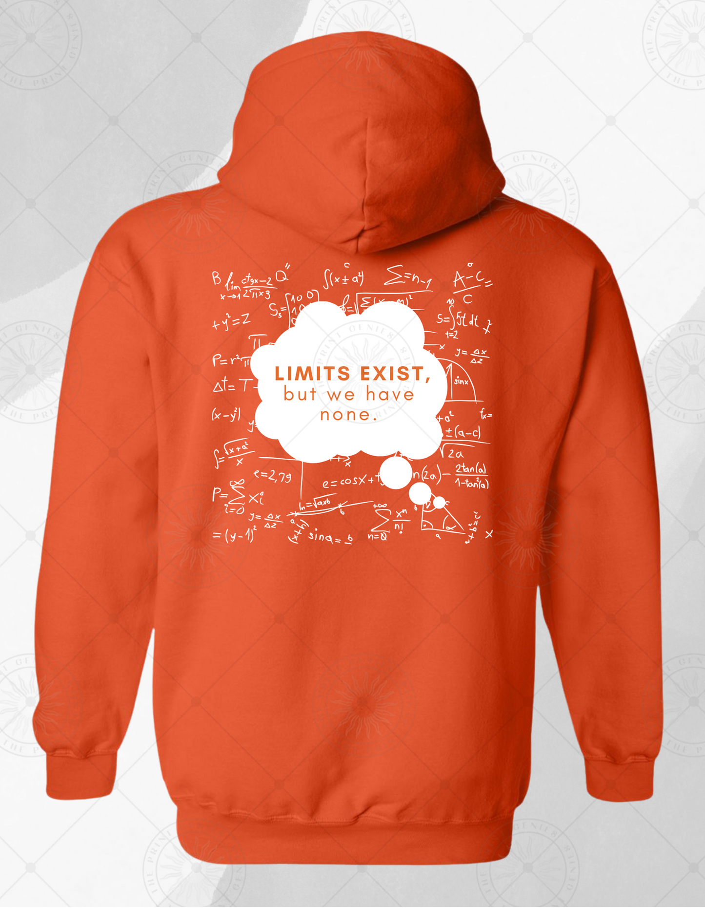 Aledo HS Math Team Orange Hoodie