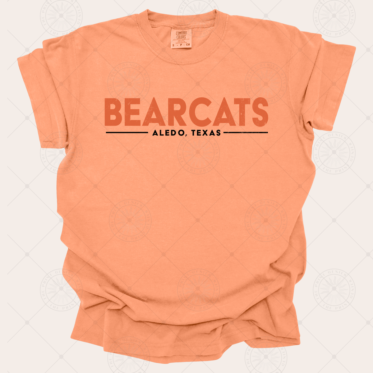 Bearcats Vintage Spirit Tee | Aledo TX Distressed Comfort Colors Shirt